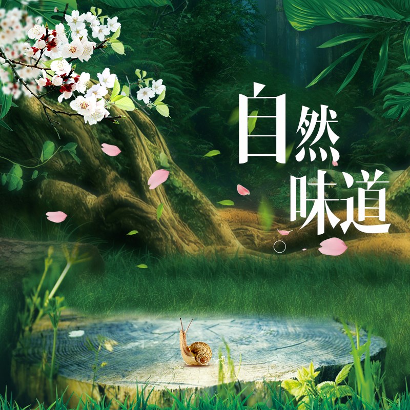 《新品推薦》贈你山里的空氣，不如贈你能凈化的吊頂  世紀豪門吊頂墻面  今天