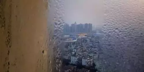 微信截圖_20200606143212.png